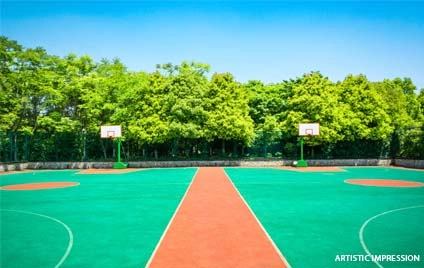 Basketball Court